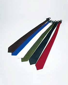 Mens Solid Color Ties Case Pack 144mens 