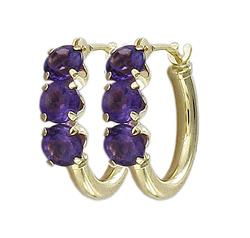 10k Yellow Gold Amethyst Hoop Earringsyellow 