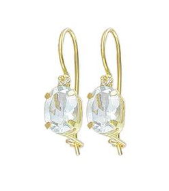 10k Yellow Gold Topaz Earringsyellow 