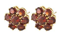 10k Yellow Gold Garnet Earringsyellow 