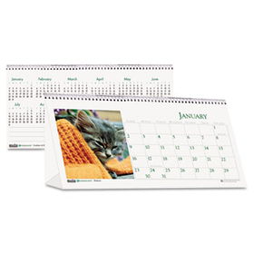 Kitten Photos Desk Tent Monthly Calendar, 8-1/2 x 4-1/4, 2014house 