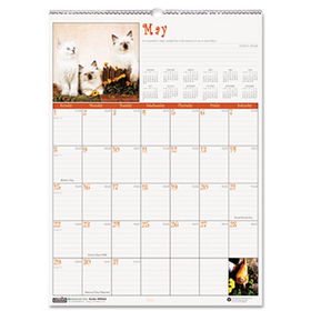 House of Doolittle 3661 - Kittens Monthly Wall Calendar, 12 x 12house 