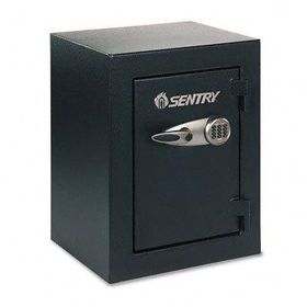 Sentry Safe TC8331 - Security Safe, 3.8 ft3, 21-11/16w x 20d x 27-3/4h, Blacksentry 