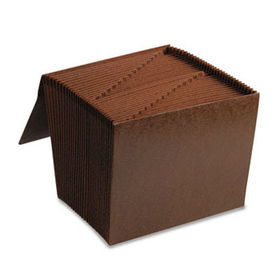 1-31 Accordion Expanding Files, 31 Pocket, Letter, Leather-Like Redropesmead 