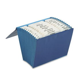 Smead 70626 - Bill Size Expanding File, 13 Pockets, Bluesmead 