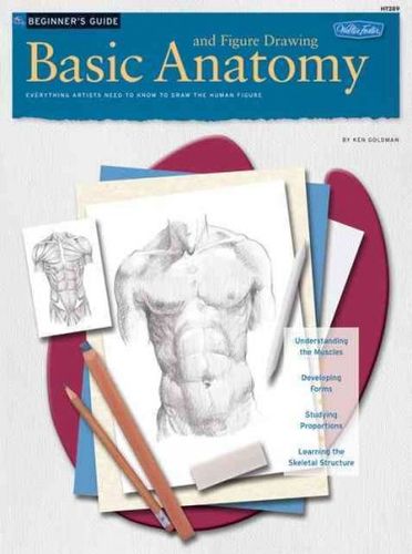 Basic Anatomy And Figure Drawingbasic 