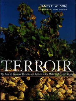 Terroirterroir 