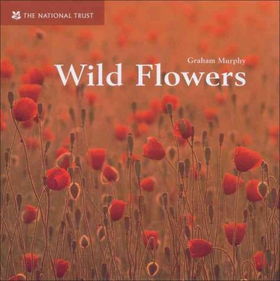 Wild Flowerswild 