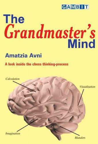 The Grandmaster's Mindgrandmaster 