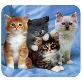 Kittens Deluxe Antimicrobial Mouse Pad/Mat Case Pack 6kittens 