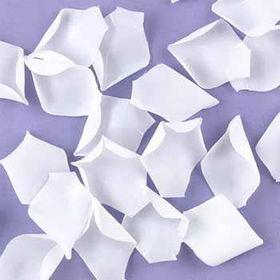 White Flower Petals Case Pack 1white 