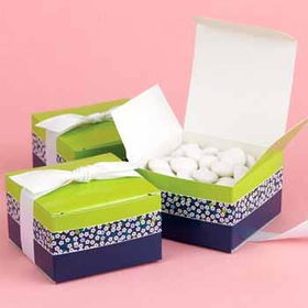 Lime and Navy Floral Stripe Favor Boxes Case Pack 1lime 