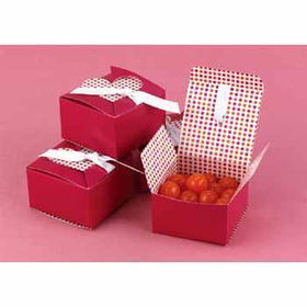 Fuchsia w/White Ribbon Dots Favors Case Pack 1fuchsia 