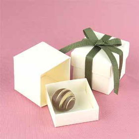 Ivory Gift Favor Boxes Case Pack 1ivory 