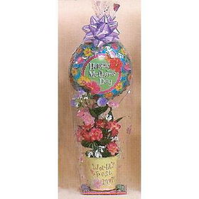 Pail with Flowers and Balloon Case Pack 24pail 