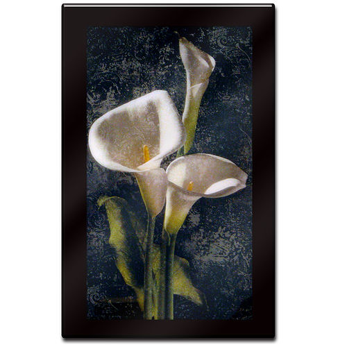 Callas by John Seba Mounted Laminated Wall Art 22 x 34callas 