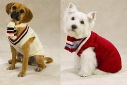 RED Cable Knit Varsity Dog Sweater Setred 