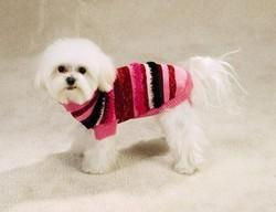 Mixed Yarn Stripe Dog Sweatermixed 