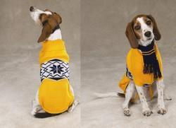 Nordic Dog Sweater & Scarfnordic 