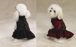 Black Lace Flamenco Dog Dressblack 