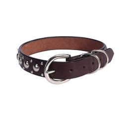 COLLAR & LEAD SET - SMALL - 11-14 in - Olympus Leather Studded Collarcollar 