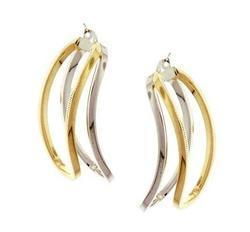 Two-Tone Gold Hoop Earringstwo 