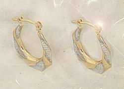 Two-tone Genuine Gold Hoop Earringstwo 