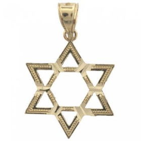 14K Gold Diamond Cut Jewish Star of David Pendantgold 