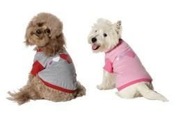 PINK - LARGE - Fashion Pet Luv Me Tee Dog Shirtpink 