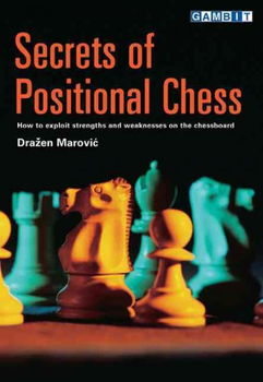 Secrets of Positional Chesssecrets 