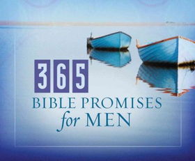 365 Bible Promises for Menbible 