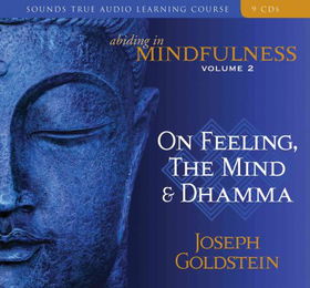 Abiding in Mindfulnessabiding 