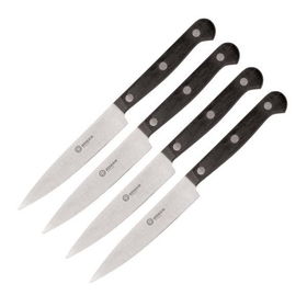 4 Piece Steak Knife Setpiece 