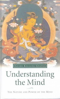 Understanding the Mindunderstanding 