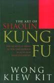 Art of Shaolin Kung Fuart 