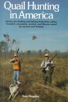 Quail Hunting in Americaquail 