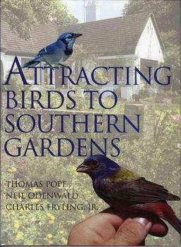 Attracting Birds to Southern Gardensattracting 