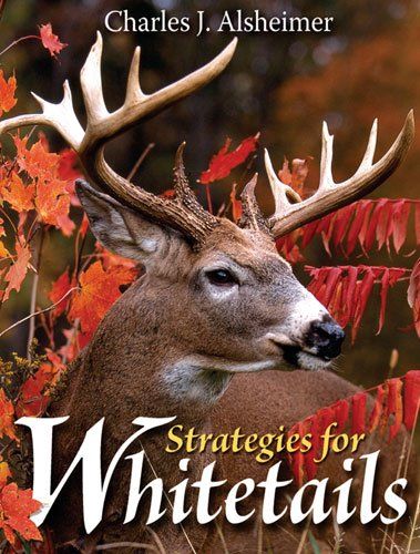 Strategies for Whitetailsstrategies 