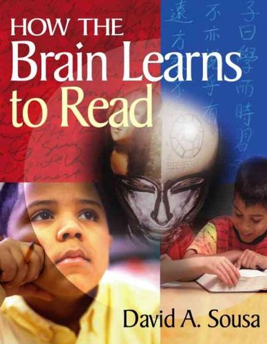 How The Brain Learns To Readbrain 