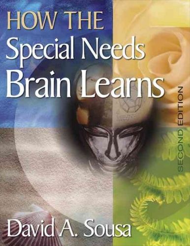 How the Special Needs Brain Learnsspecial 