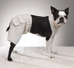 Doggy Cargo Shortsdoggy 