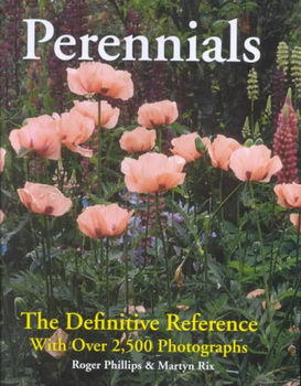 Perennialsperennials 