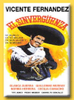 EL SINVERGUENZA (DVD/SPANISH)sinverguenza 