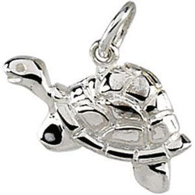 Sterling Silver Turtle Charmsterling 