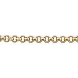 14K Yellow Gold Chain - 16 inchesyellow 