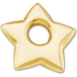 14K Yellow Gold Star Hoopletyellow 