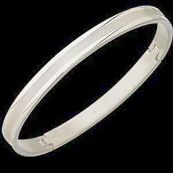 Stainless Steel Bangle Braceletstainless 