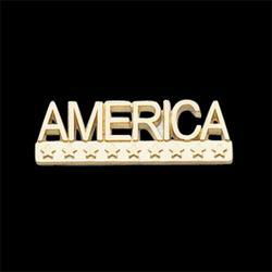 14K White Gold America Lapel Pinwhite 