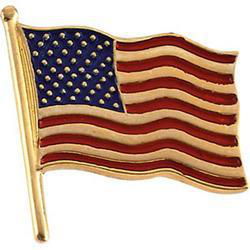 14K Yellow Gold American Flag Lapel Pinyellow 