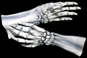 Hands Super Skeleton